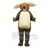 Korey Koala Bear Mascot Costume