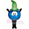 Bobby Blueberry Mascot Costume