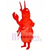 Crawdad Mascot Costume