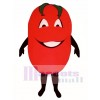Big Tomato Mascot Costume