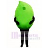 Big Lime Mascot Costume