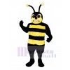 Bee Mascot Costume