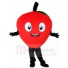 Red Apple Mascot Costumes Plant Fruit