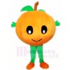 Baby Orange Mascot Costumes Fruit Plant 