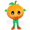 Baby Orange Mascot Costumes Fruit Plant 