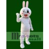 Runde Augen Cony Rabbit Hase Maskottchen Kostüme Linie Stadt Freunde