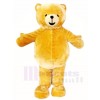 Brown Teddy Bear Mascot Costumes Animal