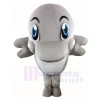 Grey Dolphin Mascot Costumes Ocean 