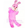 Pink Easter Bunny Rabbit Mascot Costumes Animal