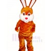 Brown Easter Bunny Rabbit Mascot Costumes Animal 