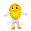 Smiling Lemon Mascot Costumes Fruit 