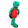 Green Terrapin Tortoise Turtle Mascot Costumes Sea