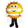 Happy Sunshine Mascot Costumes