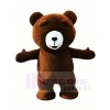 Brown Teddy Bear Mascot Costumes Animal 