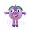 Purple Grapes Mascot Costumes Fruit Plant