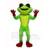 Frog Mascot Costumes Animal 