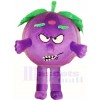Angry Eggplant Mascot Costumes Vegetable Plant