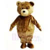 Brown Teddy Bear Mascot Costumes Animal