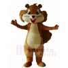 Brown Squirrel Mascot Costumes Animal 