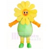 Sunflower Mascot Costumes Plant