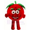 Happy Tomato Mascot Costumes Plant 