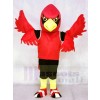 Red Cardinal with Vest Mascot Costumes Bird Animal