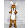 Kangaroo with Joey Mascot Costumes Animal