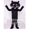 Black Panther Mascot Costume