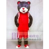 Clutch the Bear Mascot Costume Houston Rockets Grey Bear Mascot