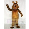 Realistic Coyote Wolf Mascot Costumes Animal