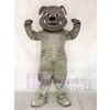 Grey Bulldog Mascot Costumes Animal 