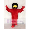 Red Bird Mascot Costume