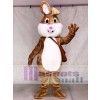 Cute Easter Bunny Rabbit Mascot Costumes Animal