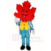 Blue Suit Maple Leaf Mascot Costumes Plant