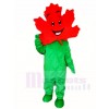 Green Body Maple Leaf Mascot Costumes Plant 