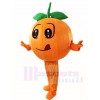 Orange Mascot Costumes Fruit Plant