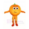 Orange Mascot Costumes Fruit Plant