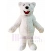 Hairy Polar Bear Mascot Costumes Animal