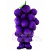 Purple Grape Mascot Costumes Fruit Food