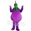 Face Show Eggplant Mascot Costumes Vegetable Plant