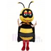 Honeybee with Black Cape Mascot Costumes Insect