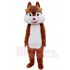 One Tooth Squirrel Mascot Costumes Animal 