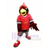 Red Eagle Hawk Mascot Costume College Mascot Costumes