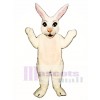 Easter Mr. Bunny Mascot Costume