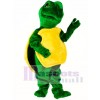 Turtle Mascot Costume