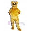 Toy Bear Mascot Costume