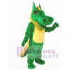 Dragon Mascot Costume