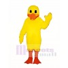 Cute Dudley Duck Mascot Costume