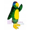 Cute Polly Parrot Mascot Costume