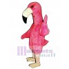 Cute Flamingo Mascot Costume